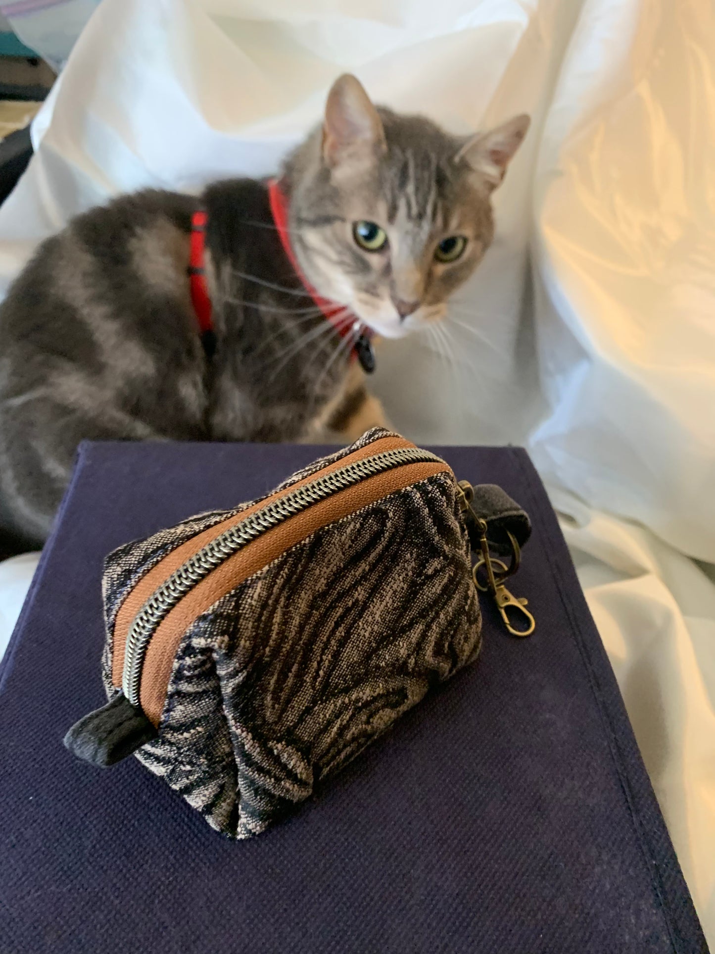 Pio’s Pouchie (card holder)