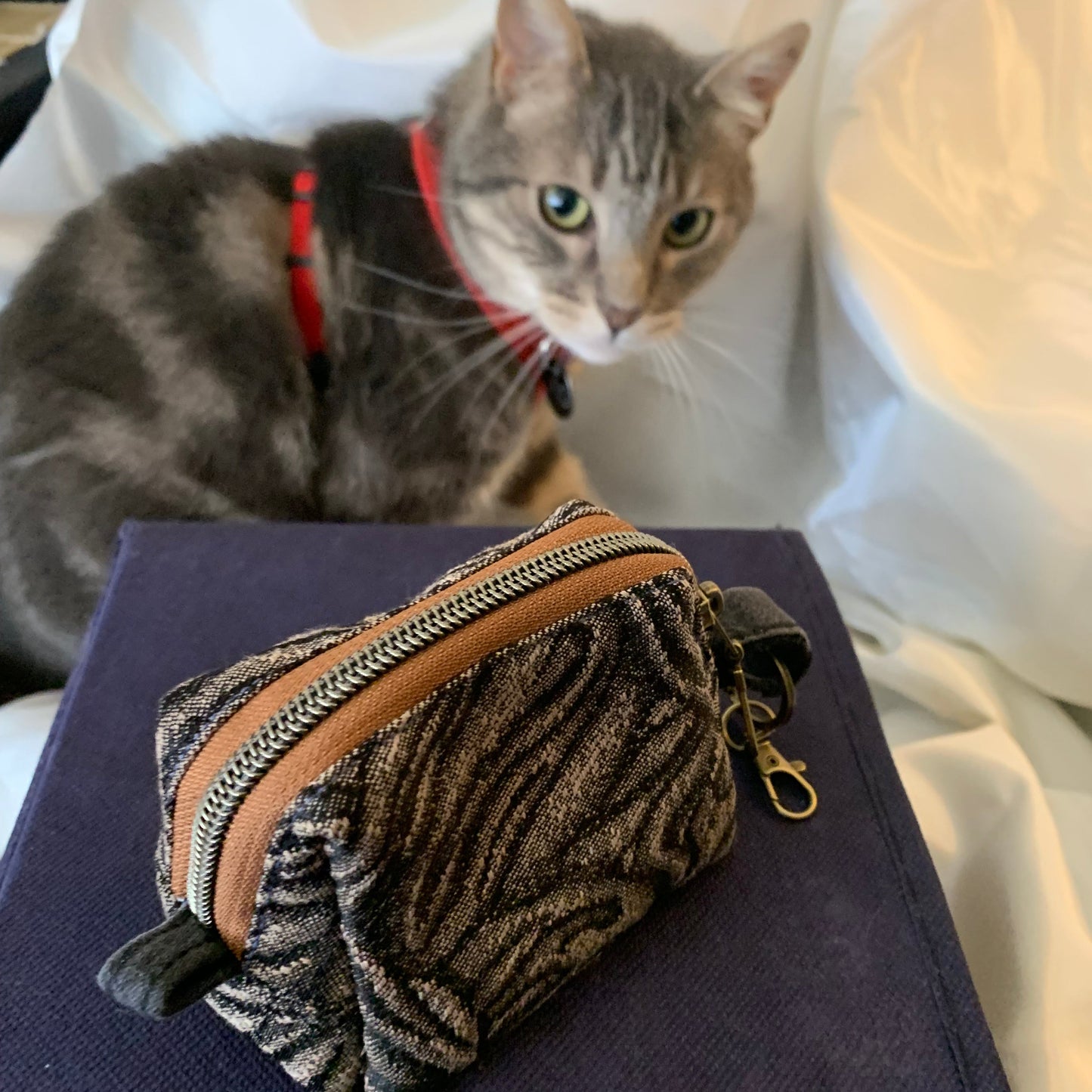 Pio’s Pouchie (card holder)