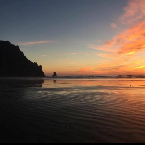 Quilted Satin Coastal Bloom Scrunchie